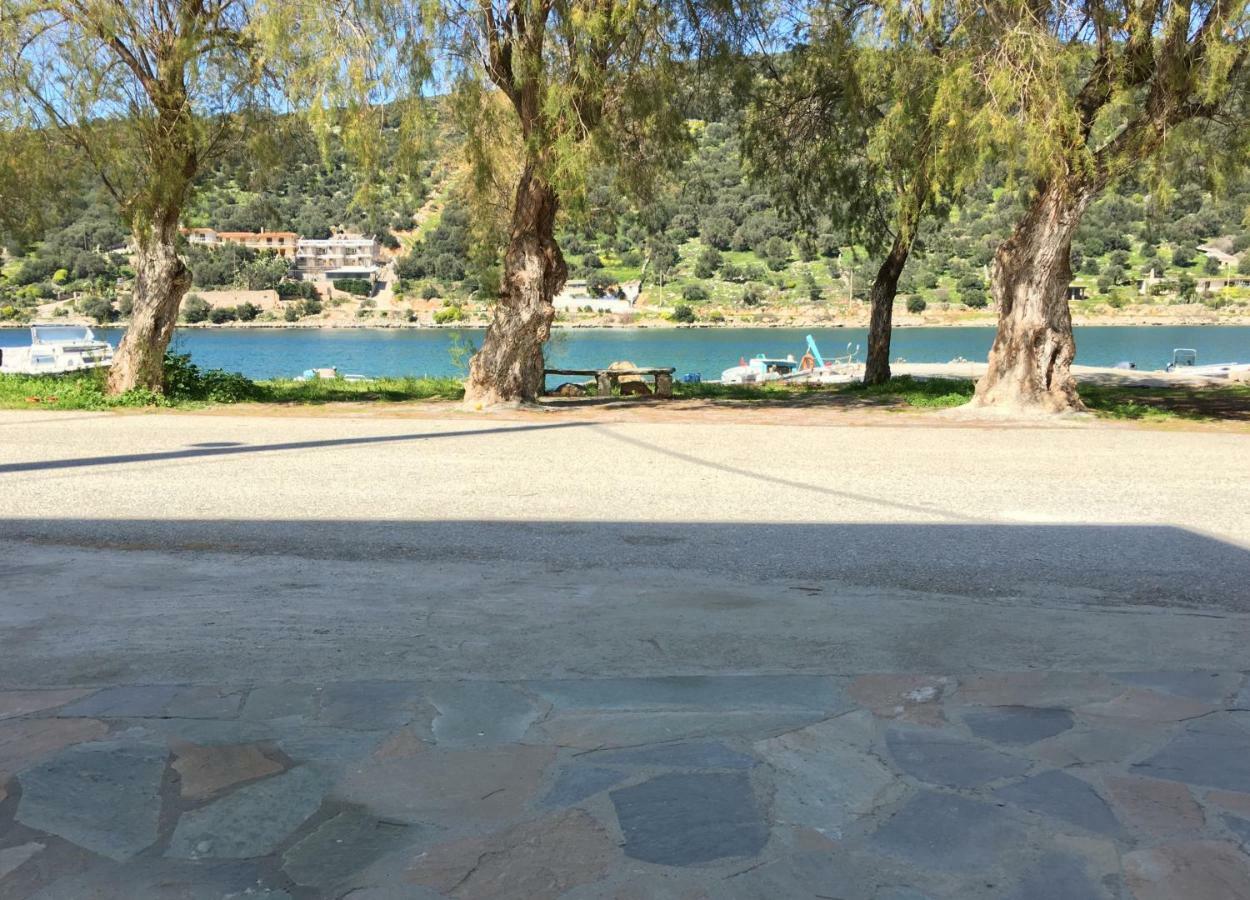 Sea Front Studio - Porto Boufalo - Evia מראה חיצוני תמונה